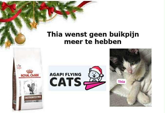 THIA WENST GASTROVOER