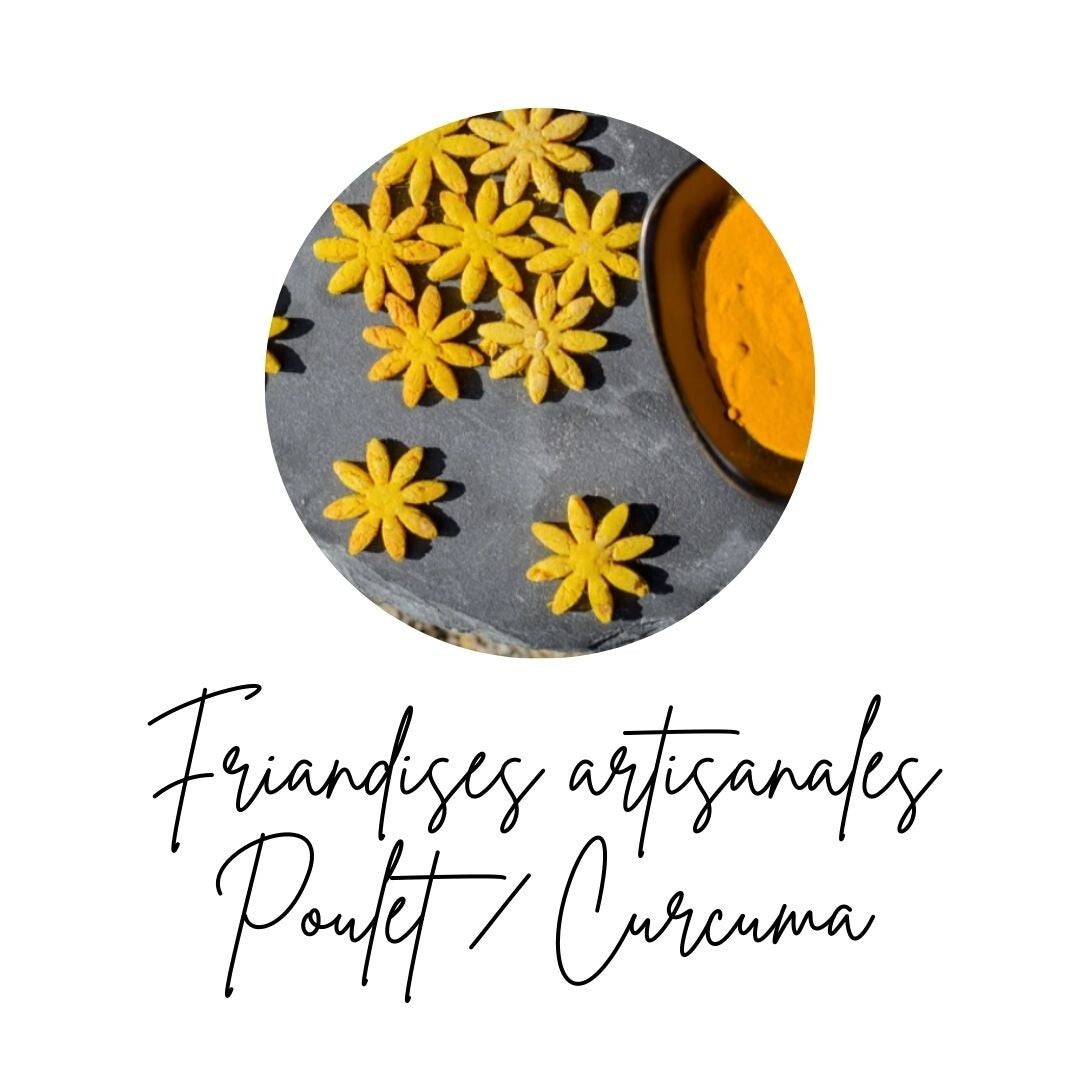 Friandises - Poulet curcuma