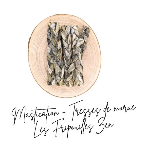 Mastication