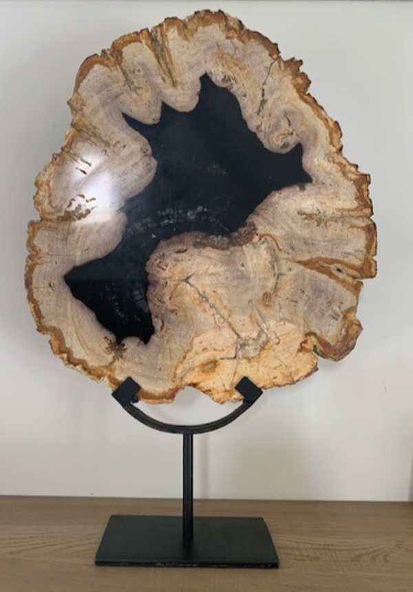 Versteend hout 