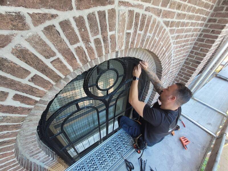 vogelnesten onder zonnepanelen