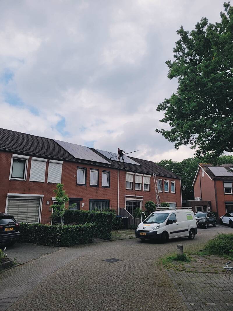 vogels tussen de dakpannen