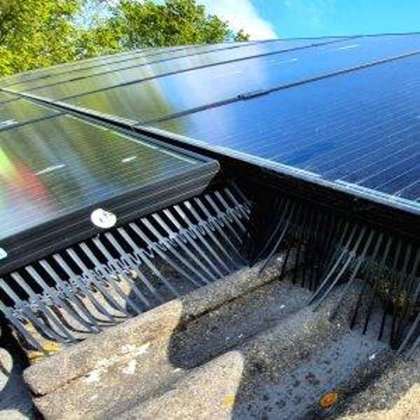 Complete Birdstop-set voor zonnepanelen