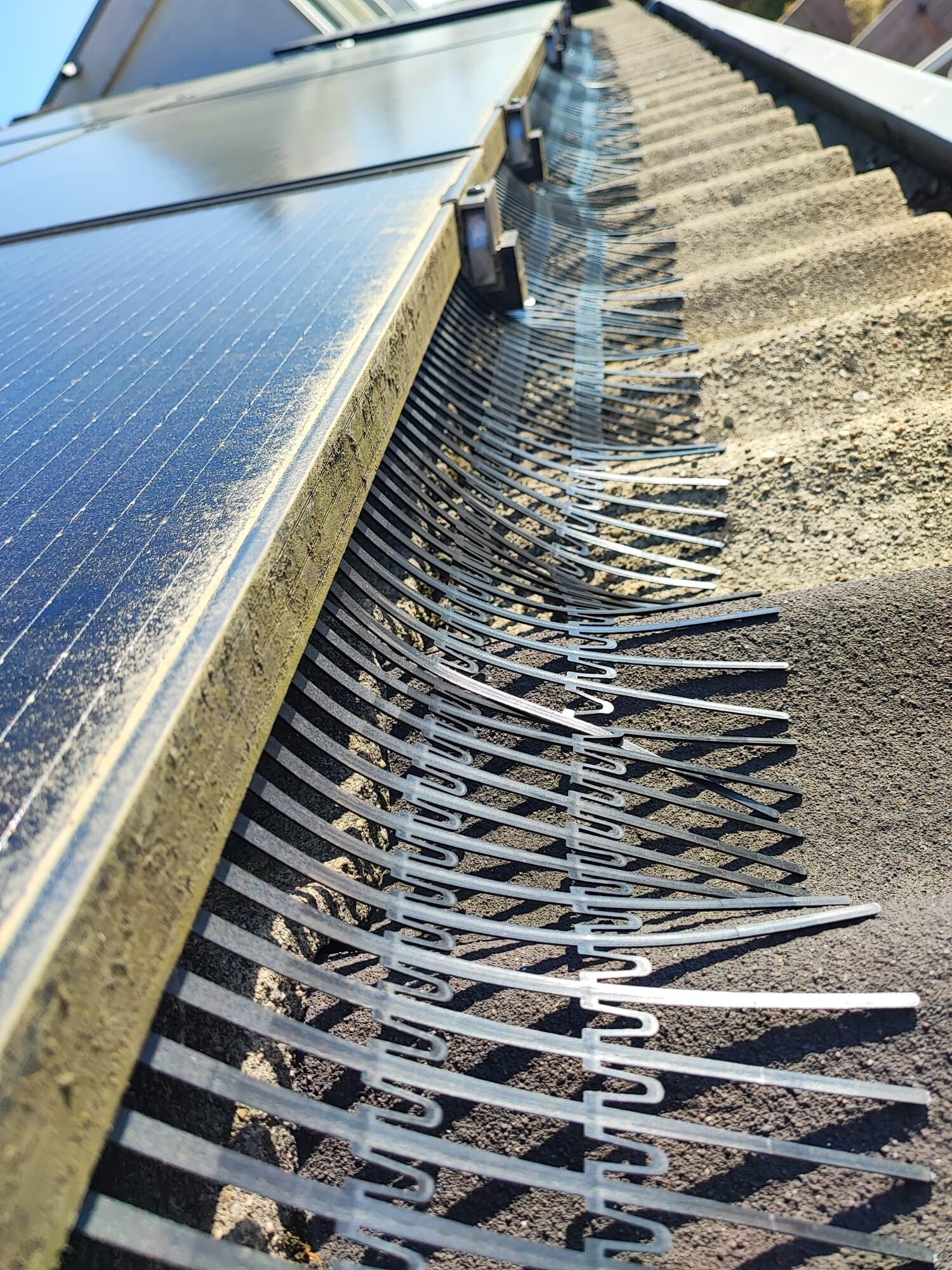 vogelwering zonnepanelen