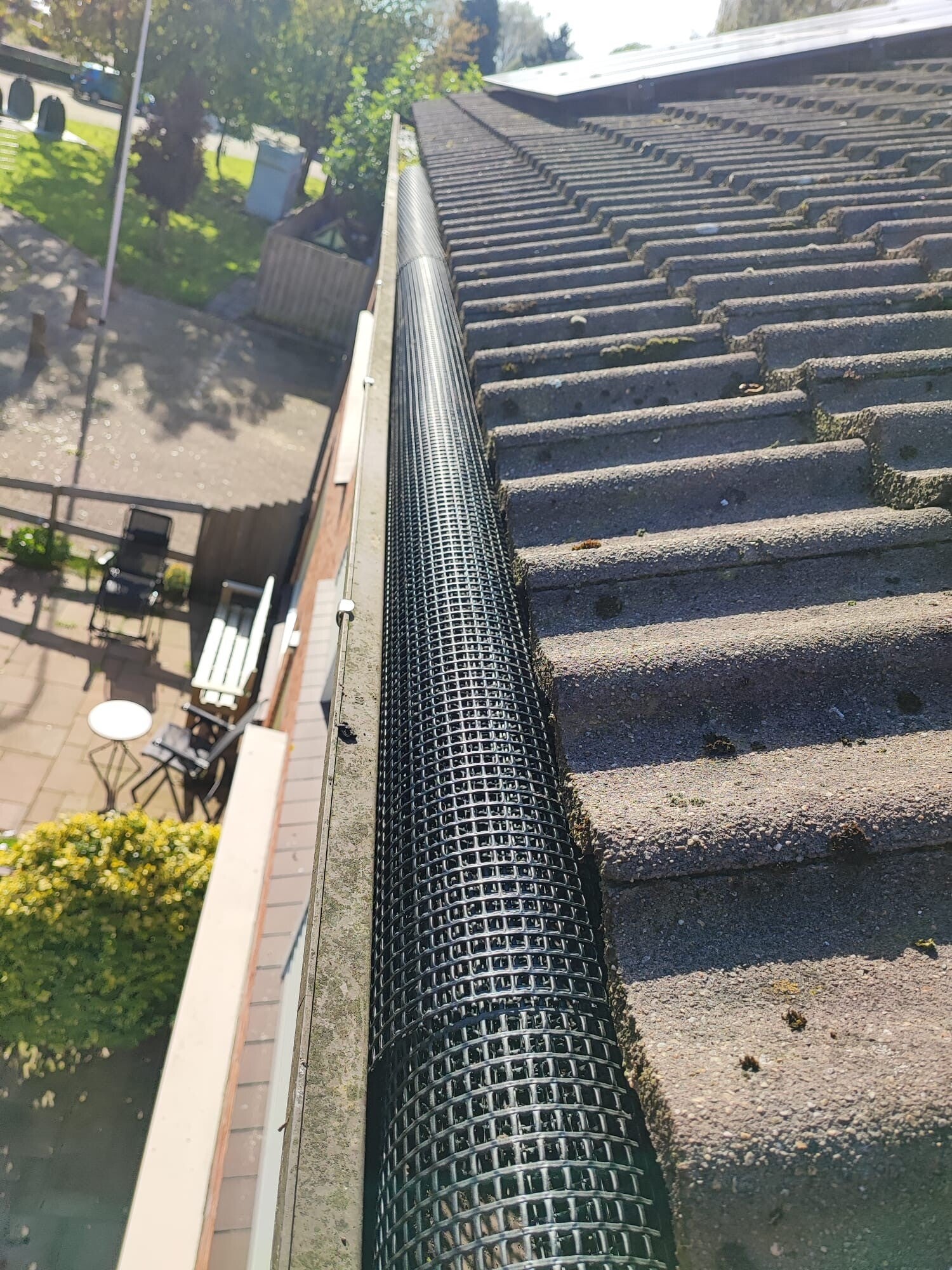 vogels op het balkon