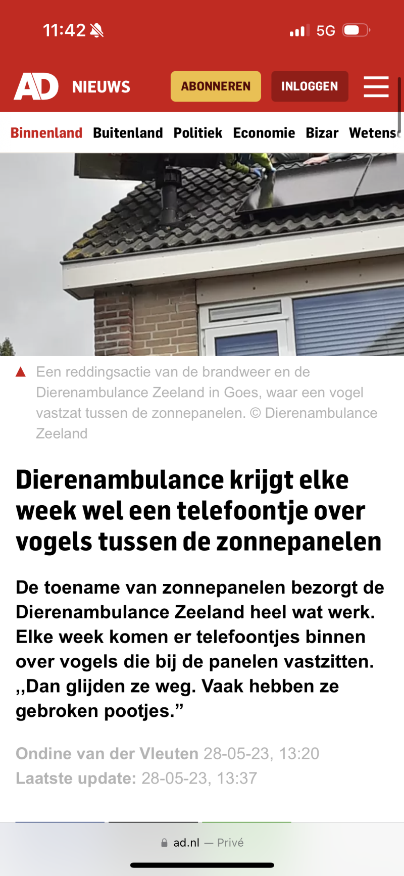kranten artikel ad vogelnest