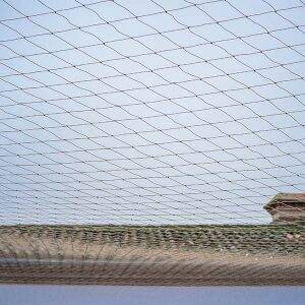 Vogelnet op maat – 22 mm maas – Zwart Breedtes: 5, 10 of 20 meter