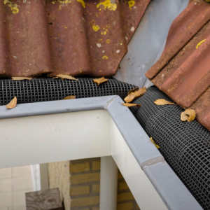 Birdstop Dakgootbeschermer tegen Vogels & Bladeren – Kies uw lengte