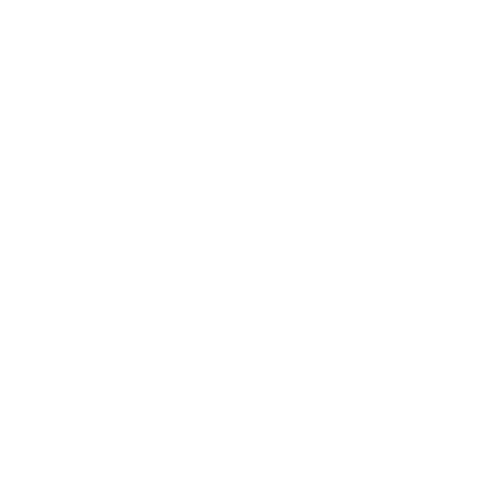 birdstopzonnepaneel