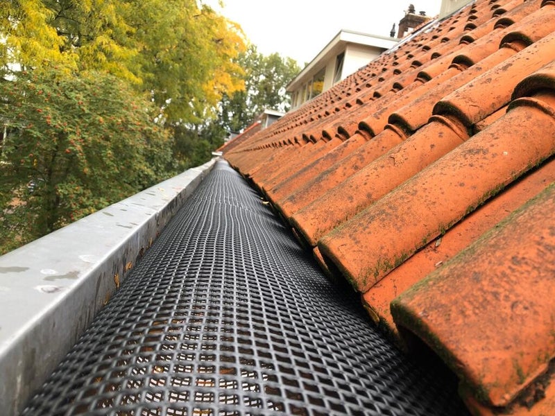 Nieuwsbeeld over vogeloverlast bij zonnepanelen