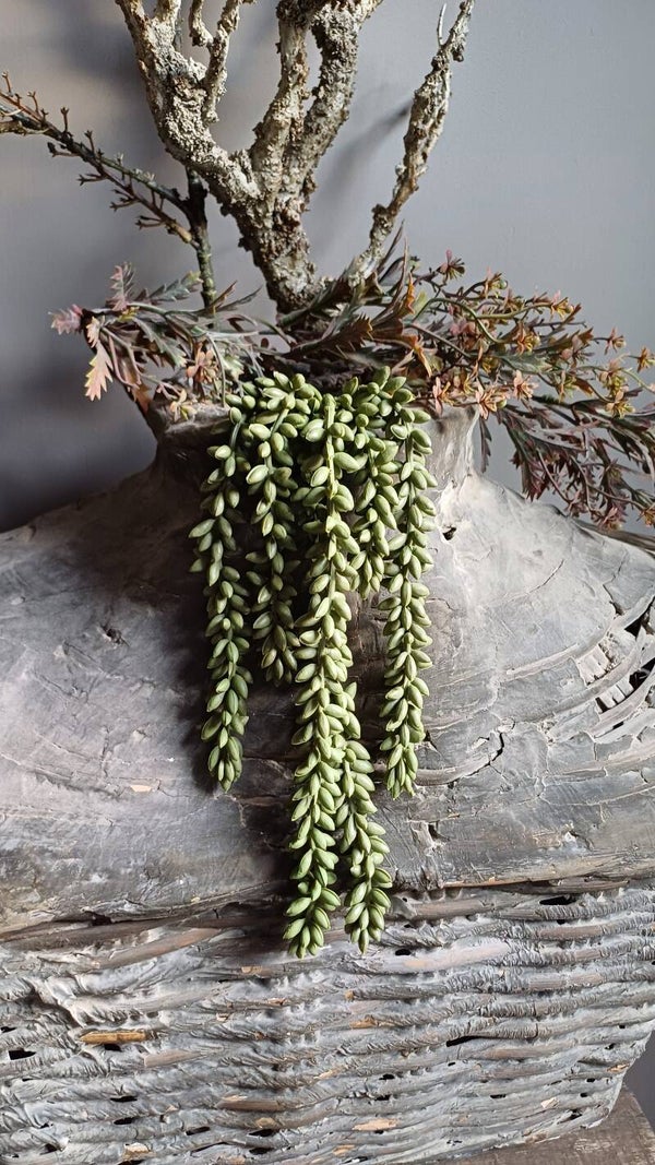 Erwten plantje kunst