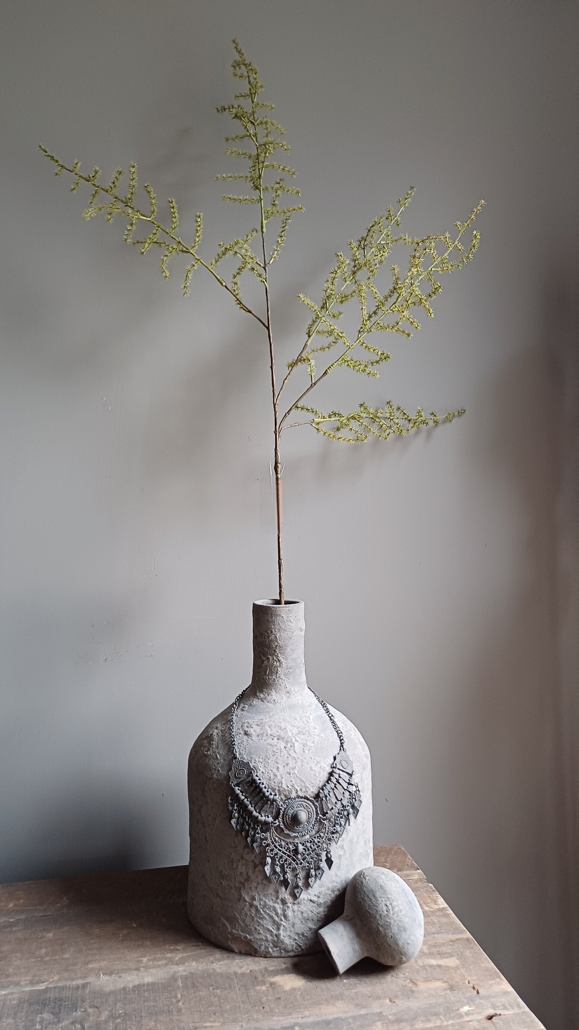 Wilde asparagus tak, kunst