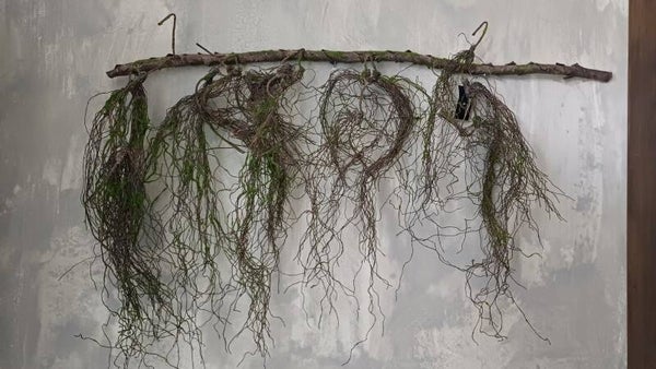 Brede kunsttak hangend