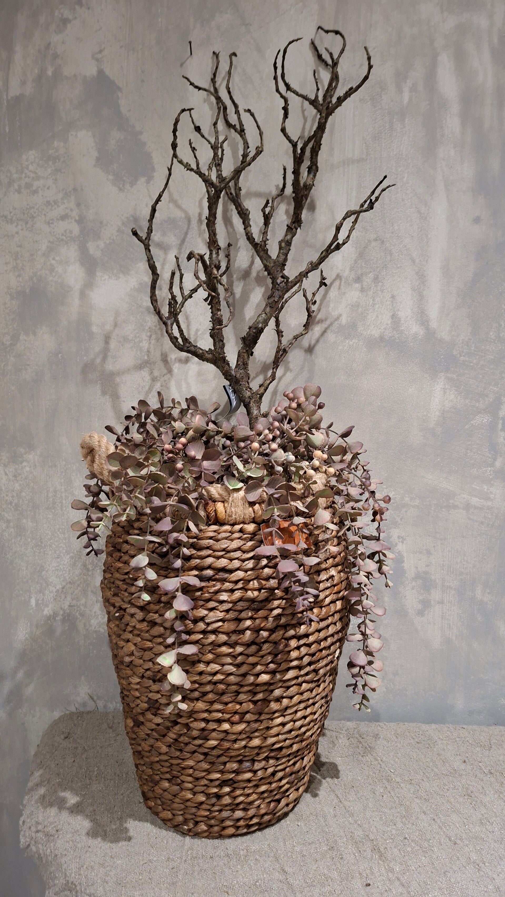 Decoratie vaas, waterhyacinth