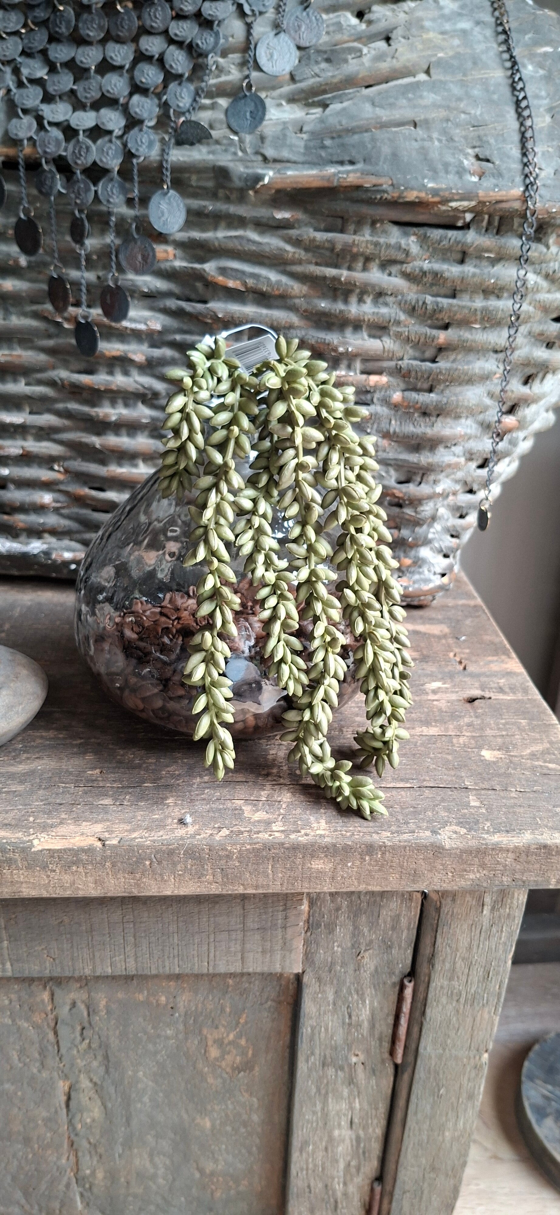 Erwten plantje kunst