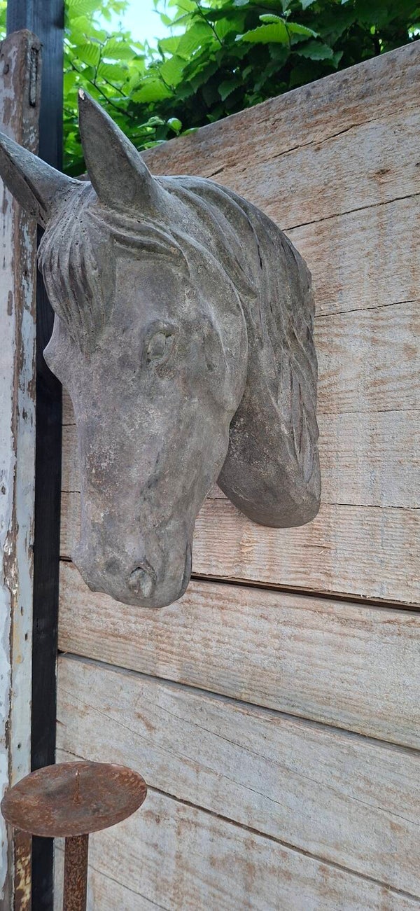 Paardenhoofd verweerd grijs