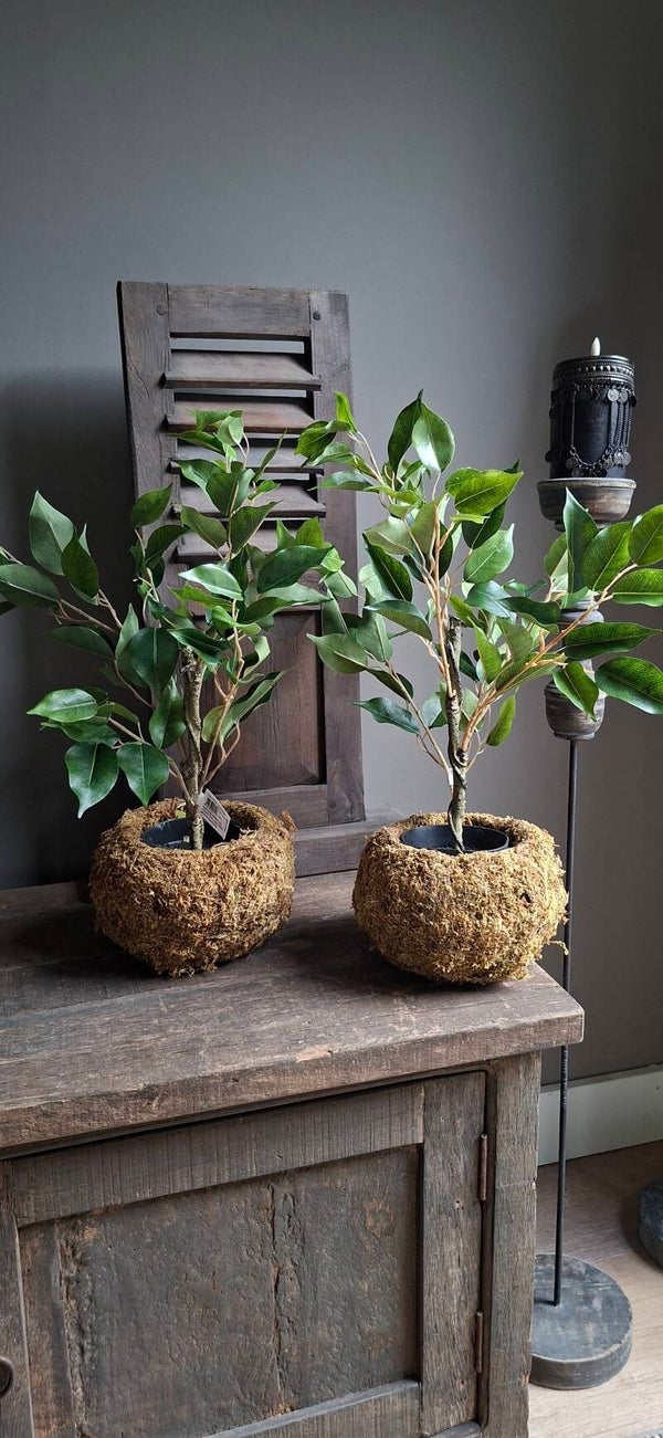 Ficus plant 45cm kunst