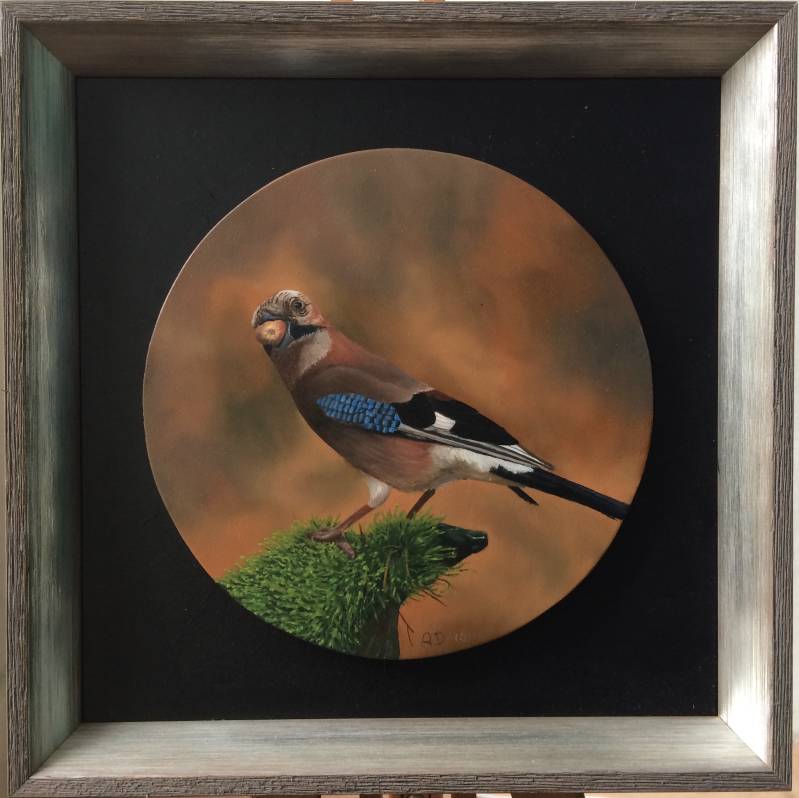 Schilderij Vlaamse gaai 27x27 cm olieverf op paneel, in houten lijst € 295