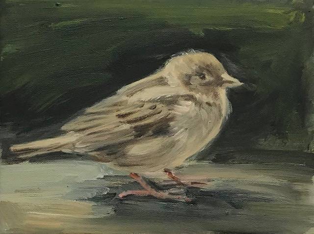schilderij Mus Olieverf op doek Sparrow 18 x 24 cm € 140