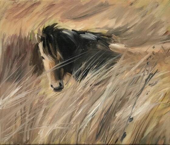 Paard in de duinen  Horse in the dunes 30 x 35 cm € 175