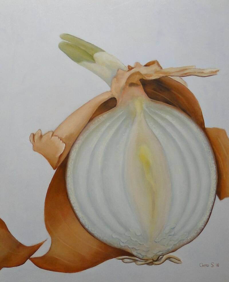 Sappige bruine ui vol vocht Olieverf op paneel 50 x 50 cm