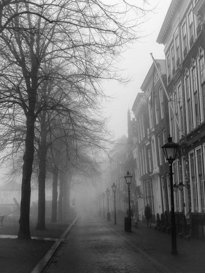 het Havenpark in de mist