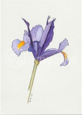 kaart-tante-ria-februari-2023-iris.jpg