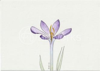 kaart-tante-riet-februari-2023-krokus.jpg