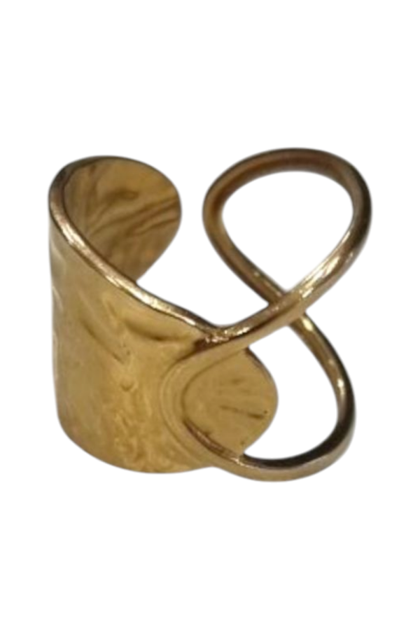 Anillo Palomet