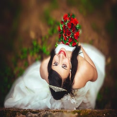 wedding-1183271_1280-standard.jpg