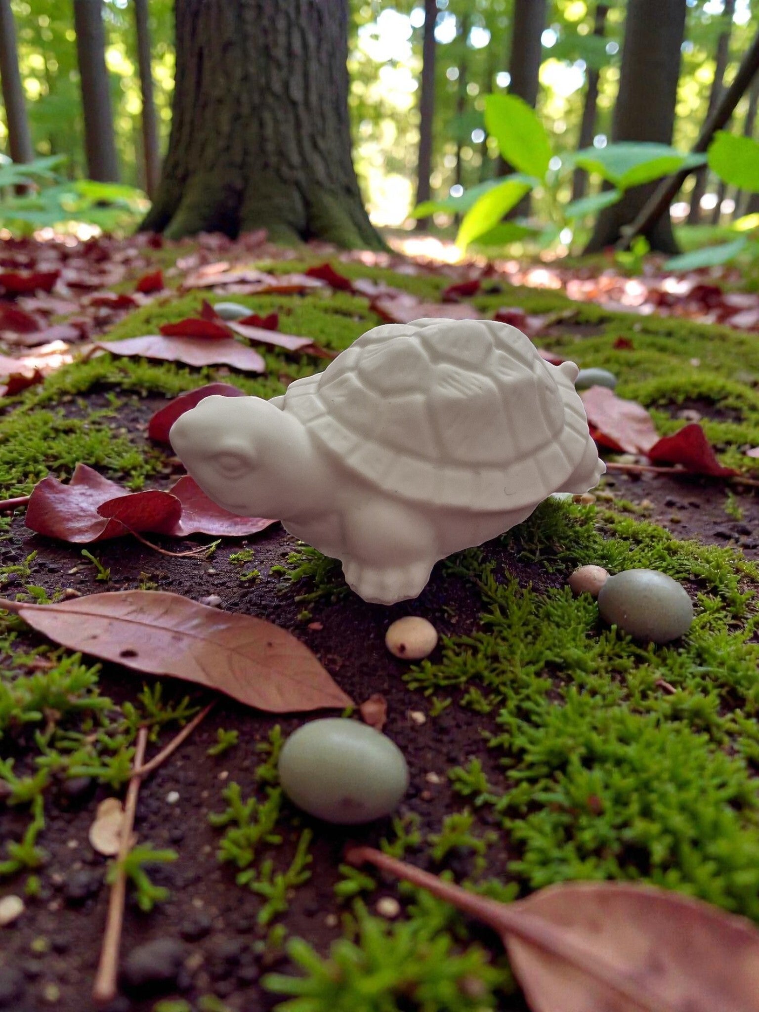 Petite tortue - Sagesse Miniature