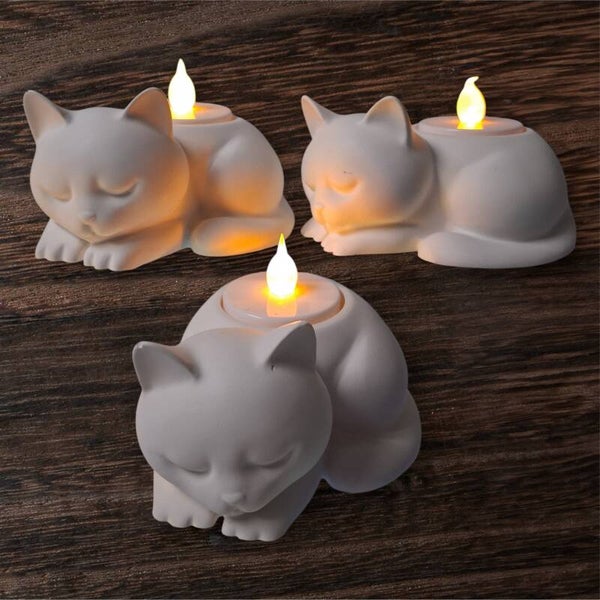 Chat Lumière