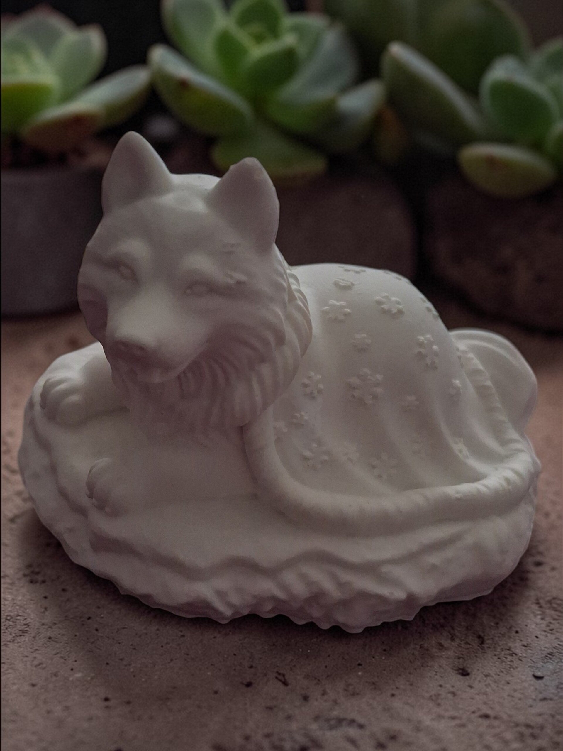 Chien douce quiétude