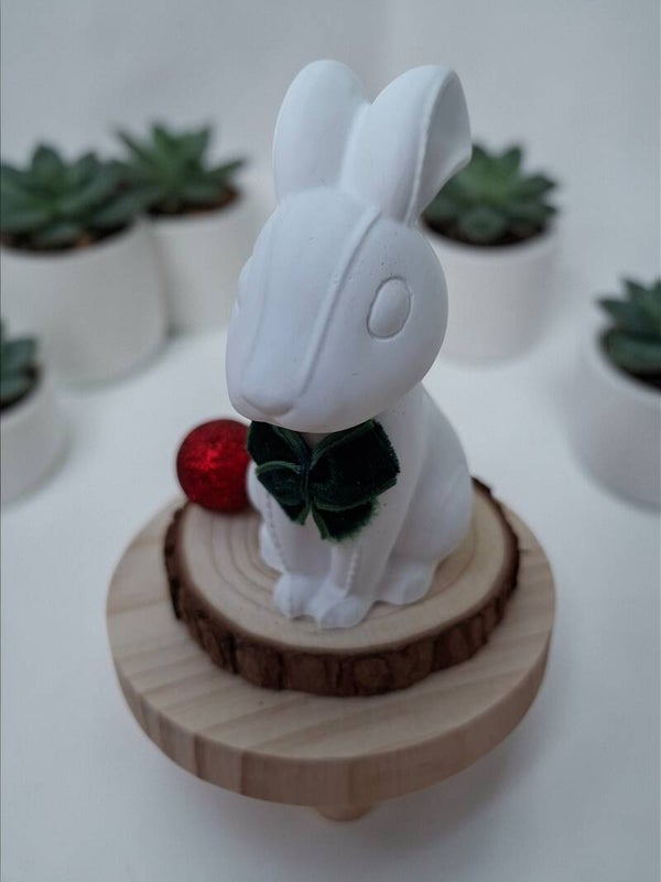 Lapin élégant