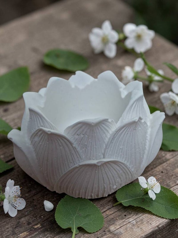 Fleur de Lotus – Cœur de sérénité