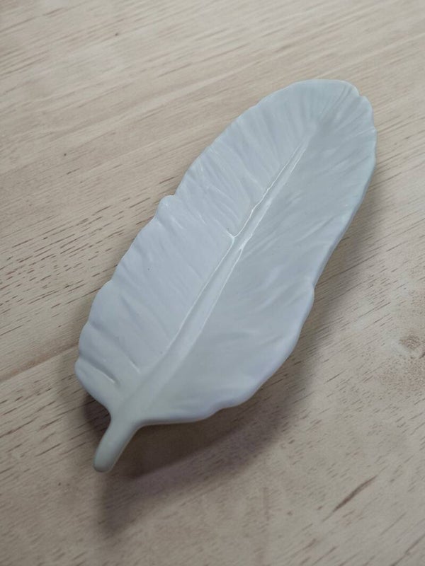 Plume, message de l'invisible