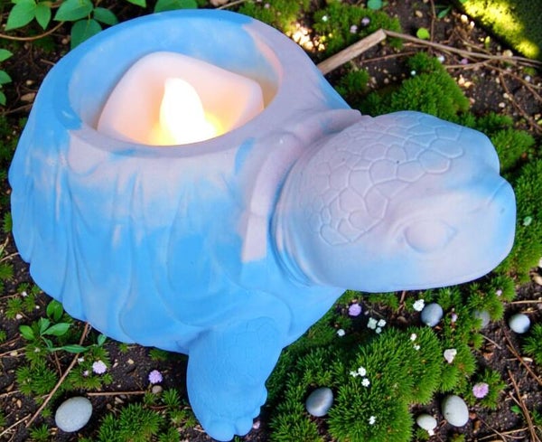 Tortue – Gardienne paisible