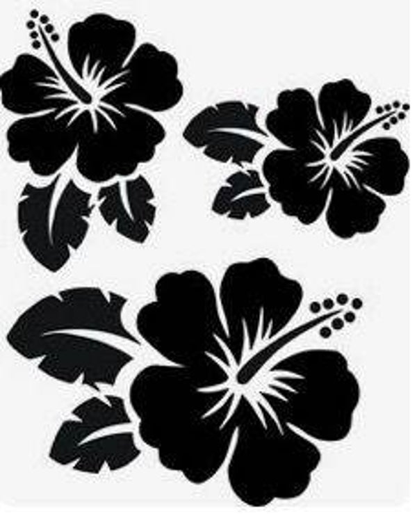 Hibiscus