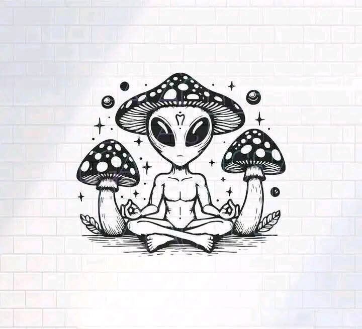 ALIEN CHAMPI