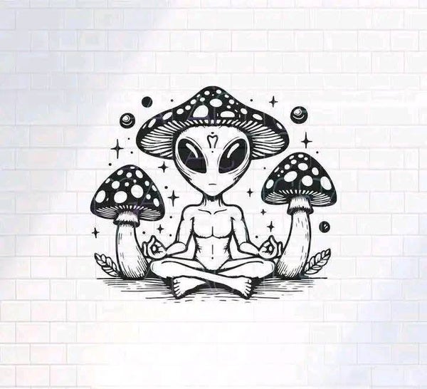 ALIEN CHAMPI