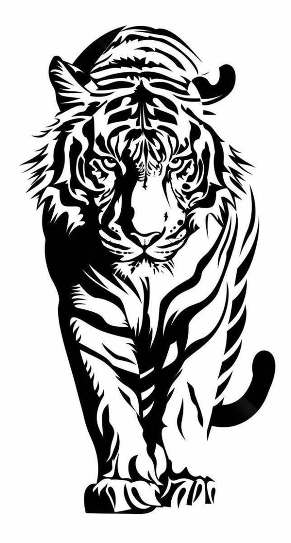 Tigre de face