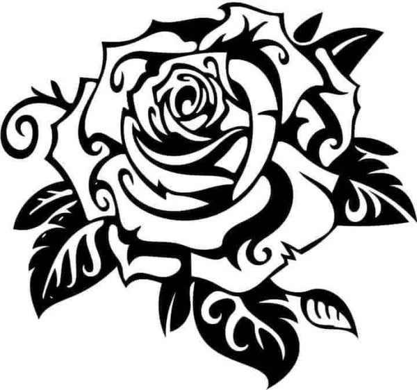 Rose dans nid de feuilles