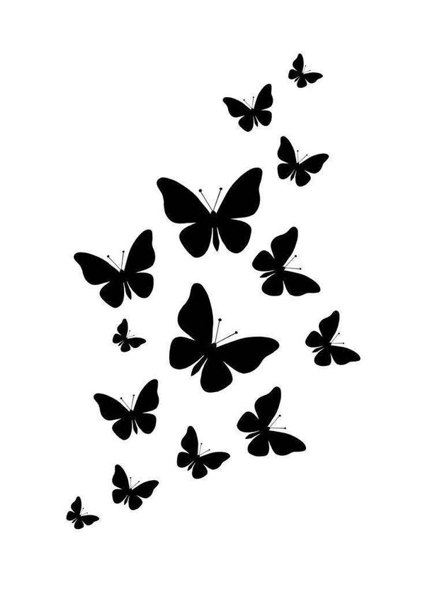 Envol de papillon