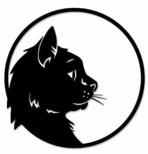Chat dans cercle