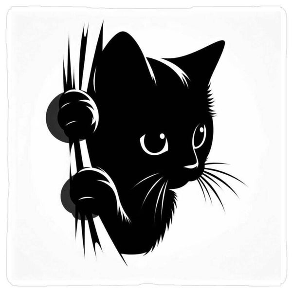 Chat caché