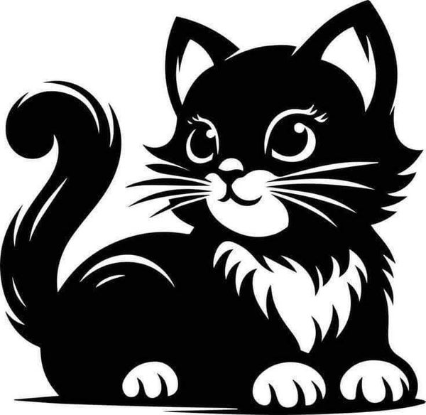 Chat à 4 pattes
