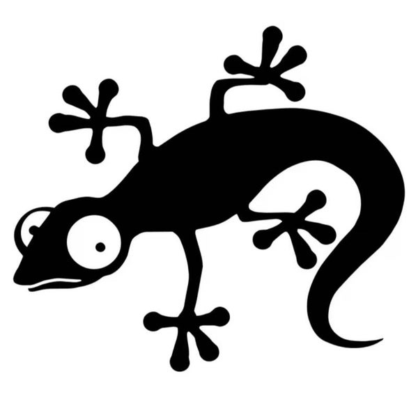 Gecko grimace
