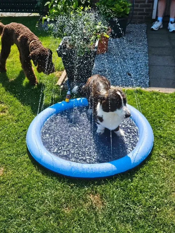 Verkoelende watermat voor de zomer.