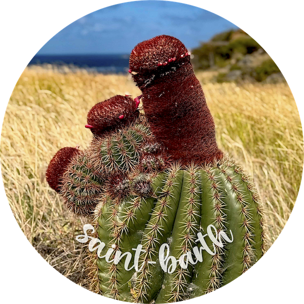 g3-copie-standard-ewld7c.png