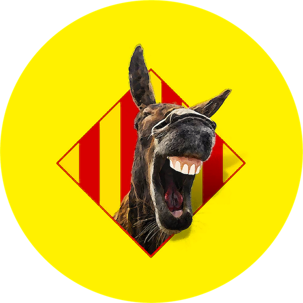 C06